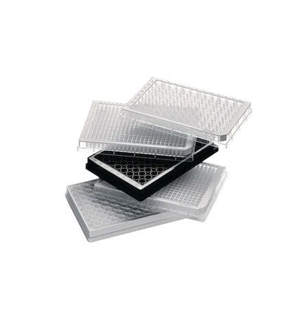 Eppendorf Plakalar